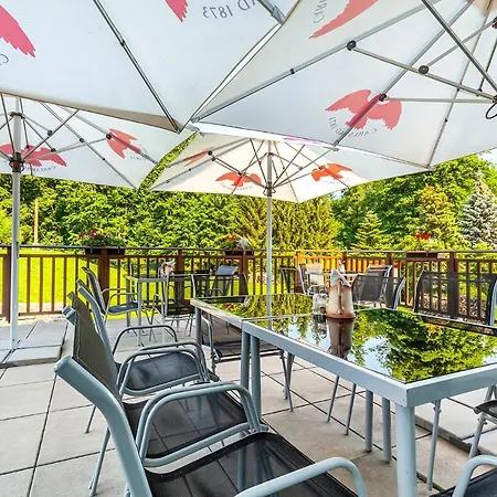 Bacalsky Mlyn Guest house Morasice (Chrudim District)