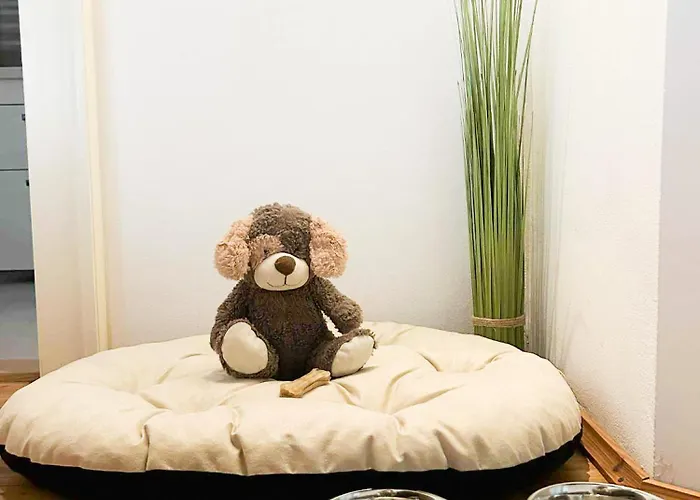 Bacalsky Mlyn 3* Morasice (Chrudim District)